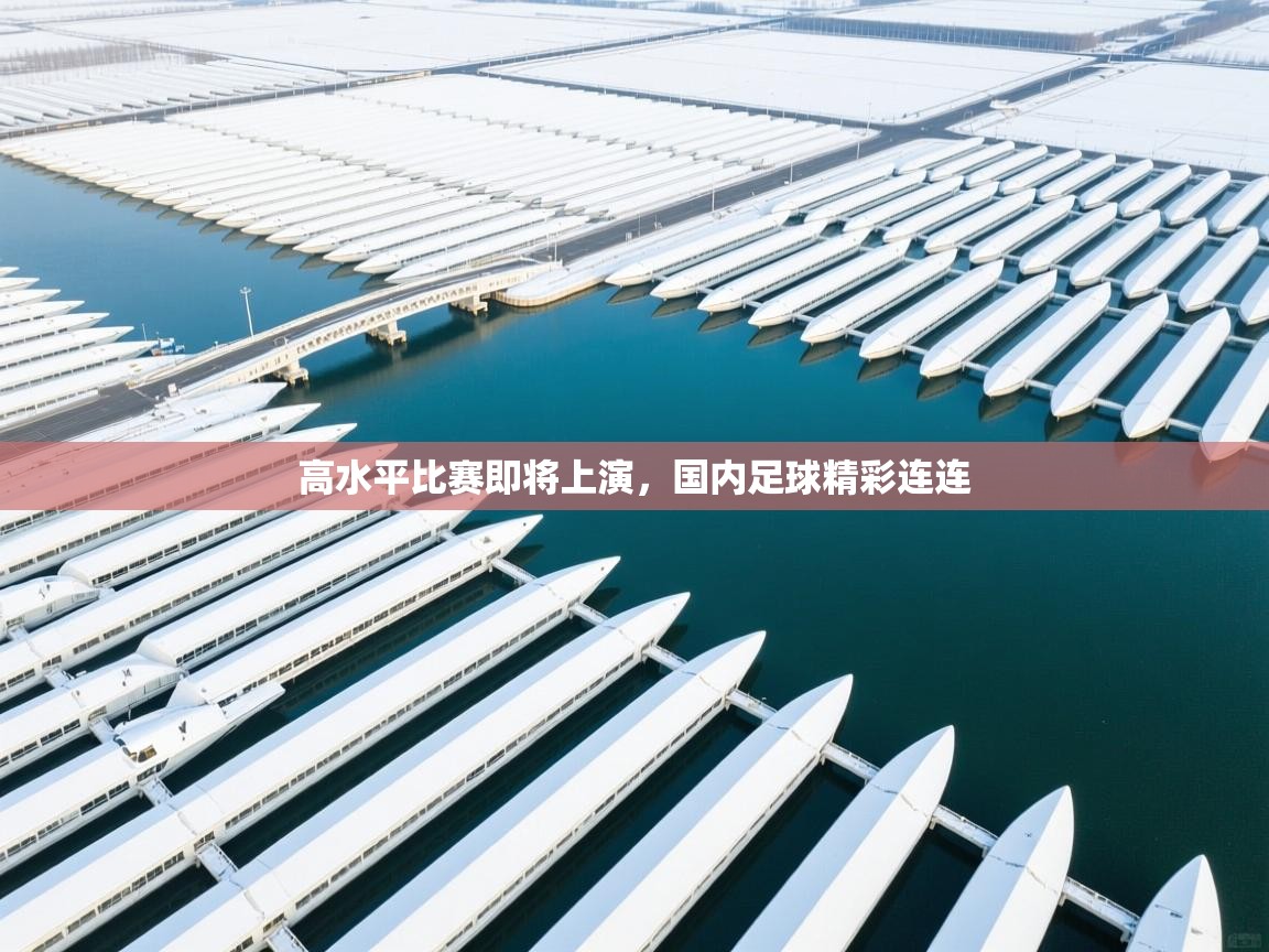 高水平比赛即将上演,国内足球精彩连连 第1张