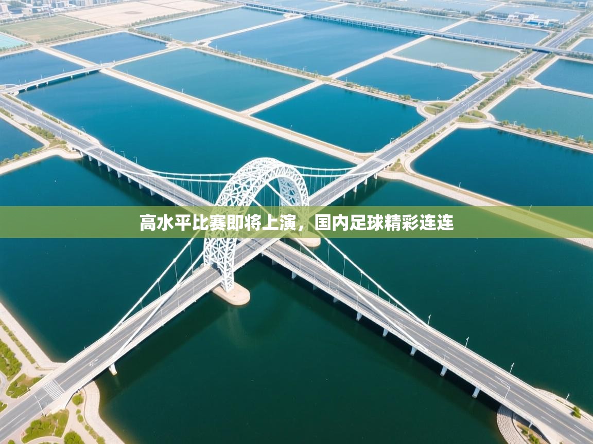 高水平比赛即将上演,国内足球精彩连连 第2张