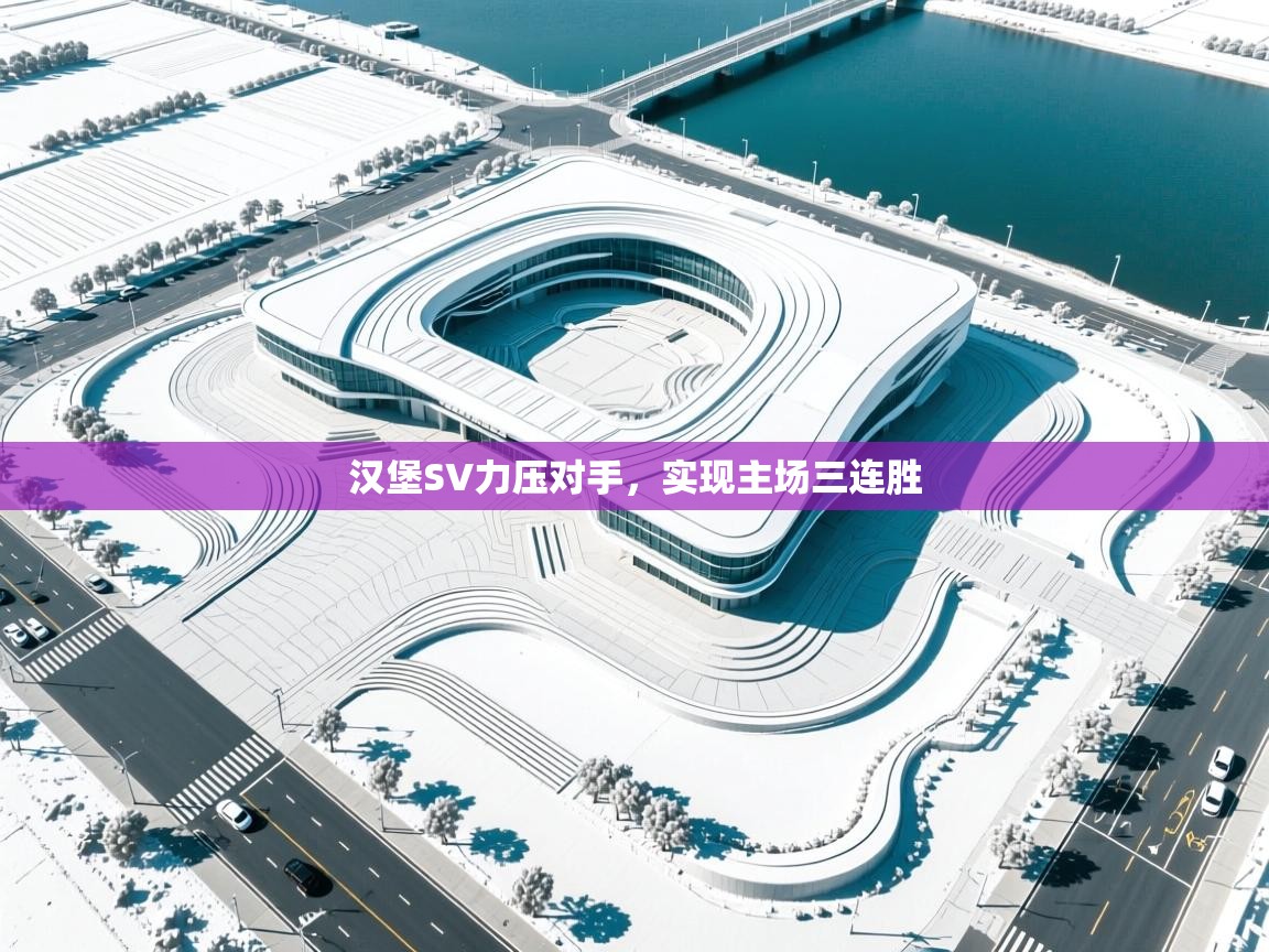 汉堡SV力压对手，实现主场三连胜  第1张