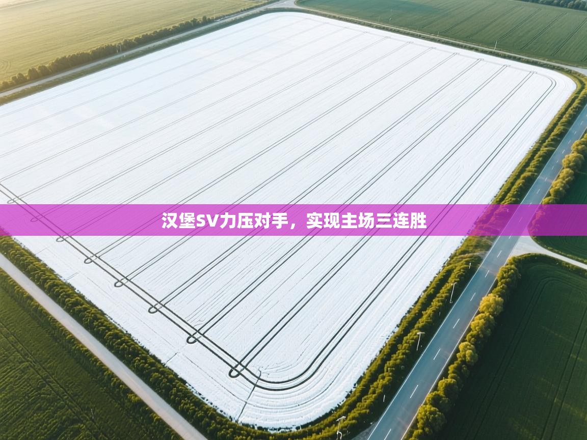 汉堡SV力压对手，实现主场三连胜  第2张