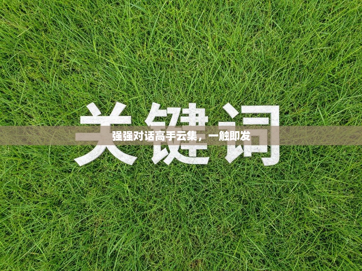 强强对话高手云集,一触即发 第2张