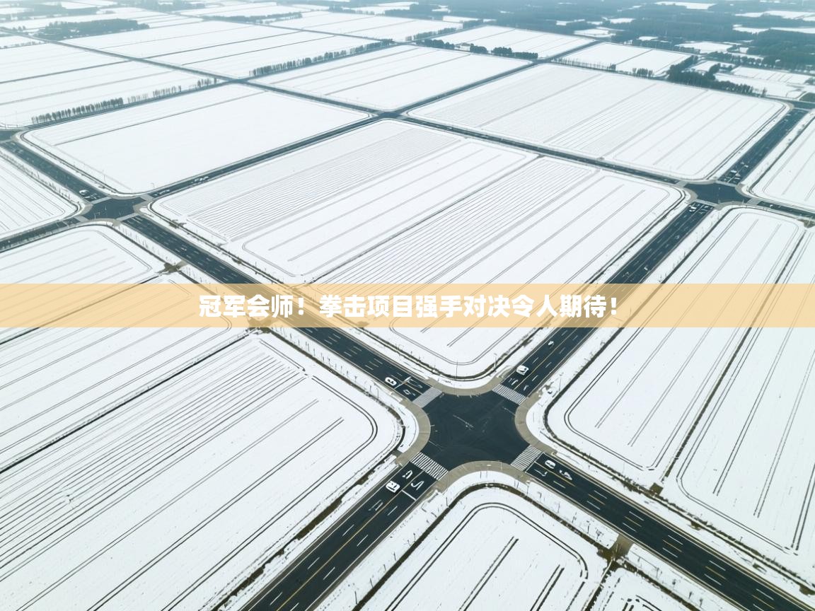 冠军会师！拳击项目强手对决令人期待！  第1张