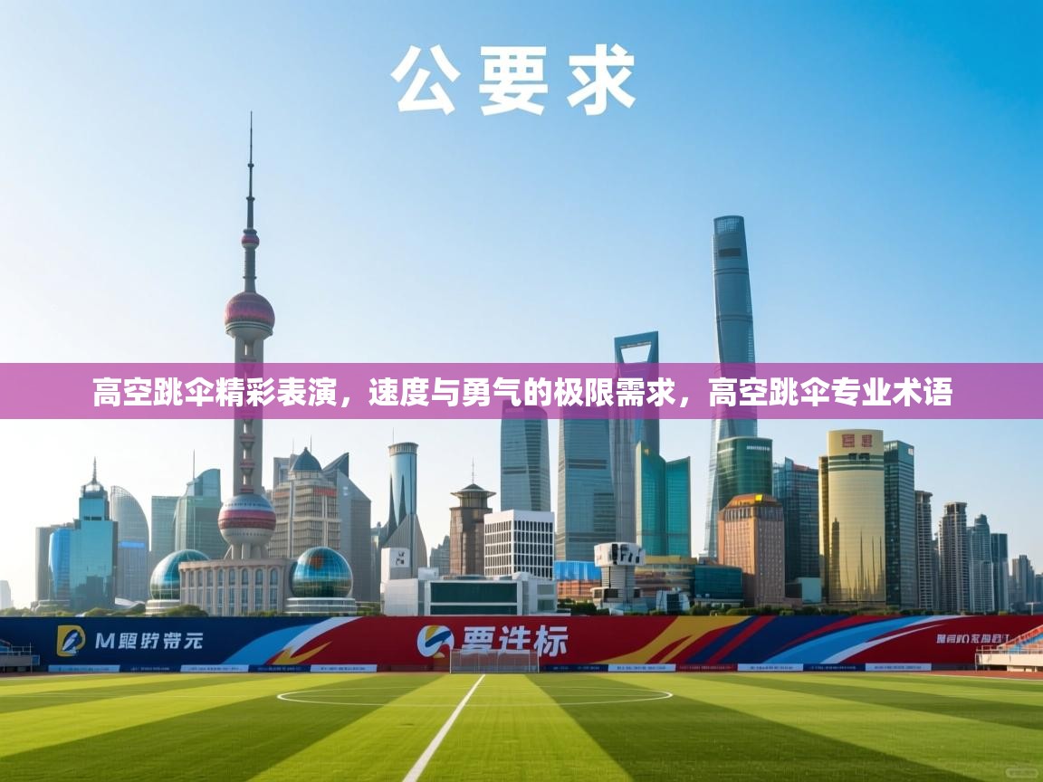 高空跳伞精彩表演，速度与勇气的极限需求，高空跳伞专业术语  第2张